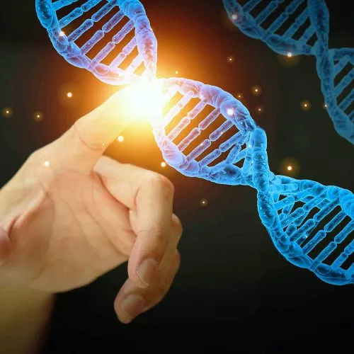 epigenetics_modifications_humans_dna_rna_1m epigenetics_modifications_humans_dna_rna_1m